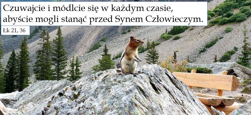 Trzydziesta Trzecia Niedziela Zwykła