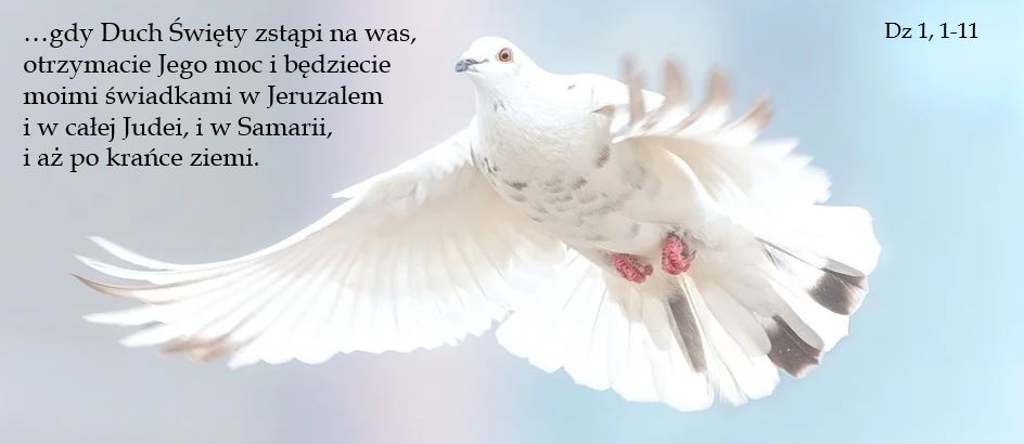 Uroczystość Wniebowstąpienia Pańskiego