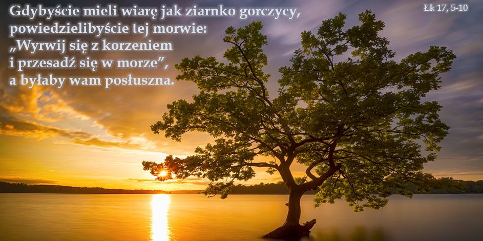 Dwudziesta Siódma Niedziela zwykła