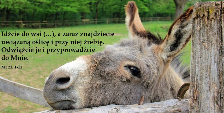 Niedziela Palmowa Męki Pańskiej