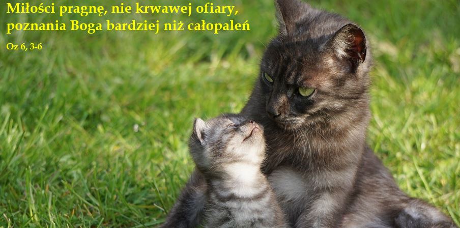 Dziesiąta Niedziela zwykła